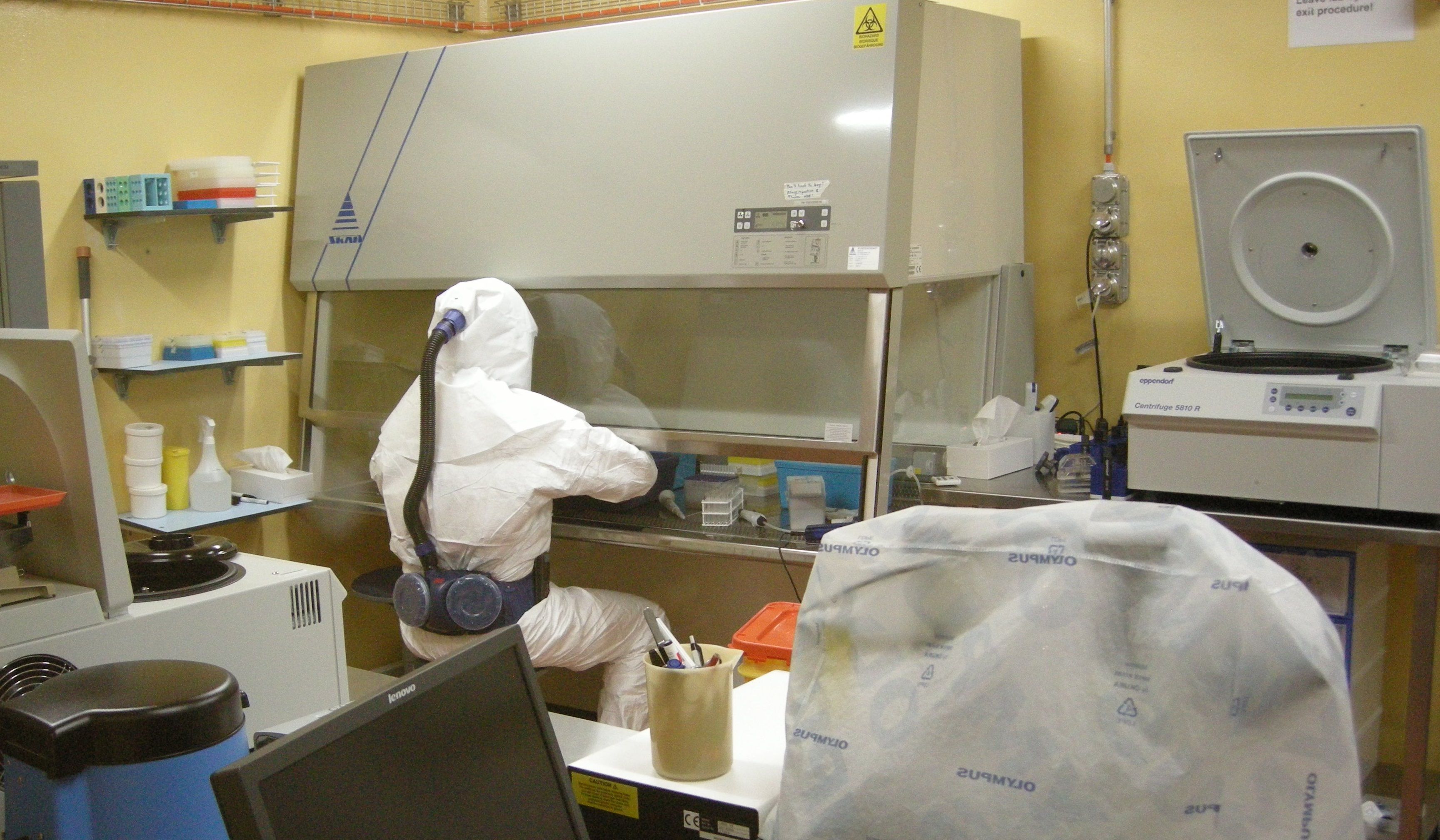 Une personne est installée au poste de sécurité biologique et travaille en toute sécurité. Elle a revêtu l’équipement de sécurité utilisé à l’IVI pour l’exécution des tâches relevant du niveau de sécurité 3, c’est-à-dire une combinaison en Tyvek avec ventilation et deux paires de gants. On peut voir différents appareils de laboratoire, notamment une centrifugeuse et un microscope (recouvert d’une housse en plastique).