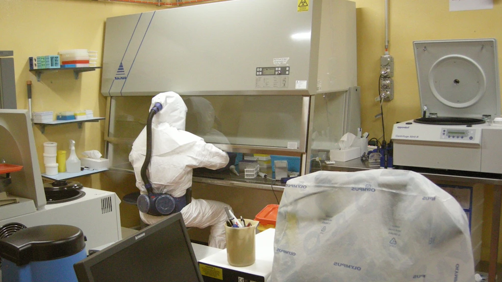 Une personne est installée au poste de sécurité biologique et travaille en toute sécurité. Elle a revêtu l’équipement de sécurité utilisé à l’IVI pour l’exécution des tâches relevant du niveau de sécurité 3, c’est-à-dire une combinaison en Tyvek avec ventilation et deux paires de gants. On peut voir différents appareils de laboratoire, notamment une centrifugeuse et un microscope (recouvert d’une housse en plastique).
